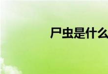 尸虫是什么样子的（尸虫）