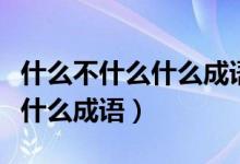 什么不什么什么成语汉字找茬王（什么不什么什么成语）