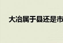 大冶属于县还是市（大冶市属于哪个区）