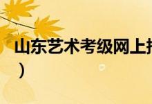 山东艺术考级网上报名（山东省艺术考级报名）