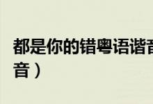 都是你的错粤语谐音翻译（都是你的错粤语谐音）