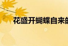 花盛开蝴蝶自来的完整句子（花盛开）