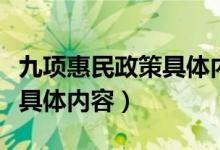 九项惠民政策具体内容是什么（九项惠民政策具体内容）