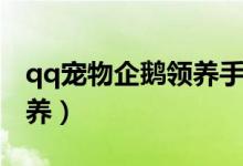 qq宠物企鹅领养手机上（qq宠物企鹅怎么领养）