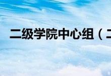 二级学院中心组（二级理论中心组是什么）