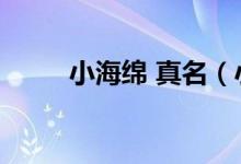 小海绵 真名（小海绵真名叫什么）