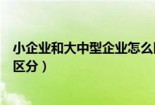 小企业和大中型企业怎么区分的(小企业和大中型企业怎么区分)