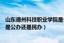 山东德州科技职业学院是公办还是民办（德州科技职业学院是公办还是民办）