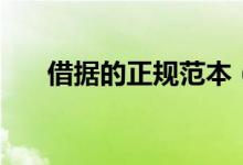 借据的正规范本(正规借据格式范本)