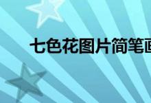 七色花图片简笔画彩色（七色花图片）