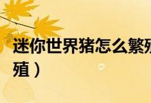 迷你世界猪怎么繁殖后代（迷你世界猪怎么繁殖）