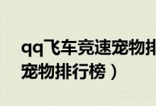 qq飞车竞速宠物排行榜2023（qq飞车竞速宠物排行榜）