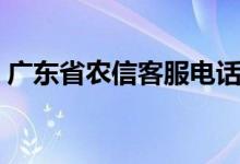 广东省农信客服电话（96138广东农信官网）