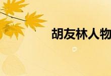 胡友林人物评价（胡友林）