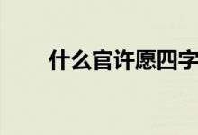 什么官许愿四字词语（什么官许愿）