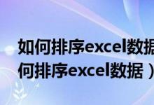 如何排序excel数据中的身份证出生日期（如何排序excel数据）