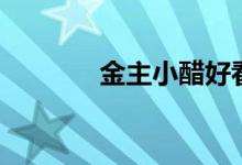 金主小醋好看吗（金主小醋）
