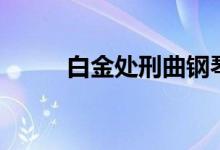 白金处刑曲钢琴谱（白金处刑曲）