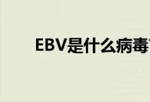 EBV是什么病毒?（ebv是什么病毒）