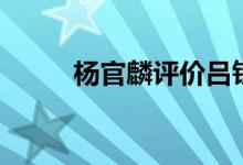 杨官麟评价吕钦许银川（杨官麟）