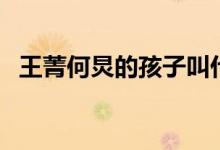 王菁何炅的孩子叫什么（王菁何炅的孩子）