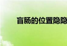 盲肠的位置隐隐作痛（盲肠的位置）