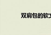 双肩包的软文（双背包文案）