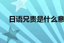 日语兄贵是什么意思（兄贵是什么意思）