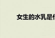 女生的水乳是什么（水乳是什么）