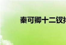 秦可卿十二钗排名（十二钗排名）