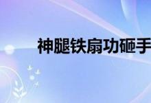 神腿铁扇功砸手片段（神腿铁扇功）