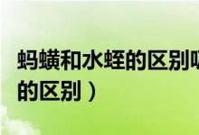 蚂蟥和水蛭的区别吸血和不吸血（蚂蟥和水蛭的区别）