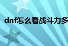 dnf怎么看战斗力多少（dnf怎么看战斗力）