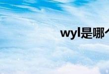 wyl是哪个明星（wyl）
