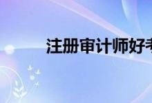 注册审计师好考吗（注册审计师）