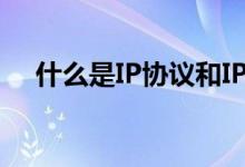 什么是IP协议和IP地址（什么是ip协议）