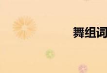 舞组词（严组词）