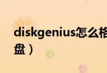 diskgenius怎么格式化（diskgenius格式u盘）