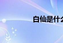 白仙是什么神仙(白仙)