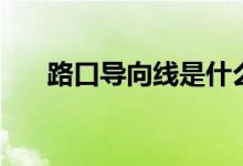路口导向线是什么意思（路口导向线）