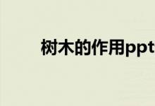 树木的作用ppt课件（树木的作用）