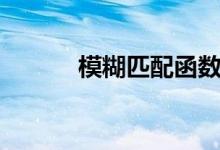 模糊匹配函数公式（模糊匹配）