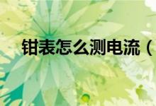 钳表怎么测电流（如何使用钳形电流表）