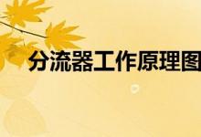 分流器工作原理图解（分流器工作原理）