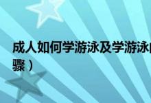 成人如何学游泳及学游泳的步骤（如何学游泳及学游泳的步骤）