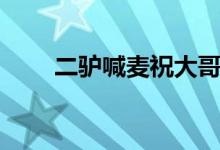 二驴喊麦祝大哥歌词（祝大哥歌词）