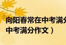 向阳春常在中考满分作文记叙文（向阳春常在中考满分作文）