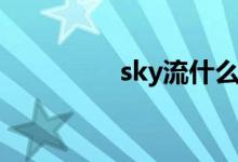 sky流什么意思（sky流）