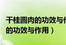 干桂圆肉的功效与作用及食用方法（干桂圆肉的功效与作用）