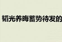韬光养晦蓄势待发的意思(蓄势待发的意思)